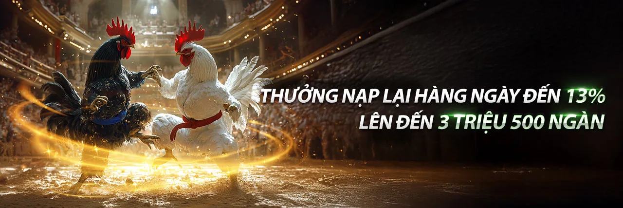 Đá Gà Trực Tuyến 58m - Tải Ứng Dụng 58m Mới Nhất 2026
